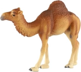 Puiku mokymuisi ir kolekcijoms