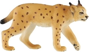 Realistiškas lūšies atvaizdavimas