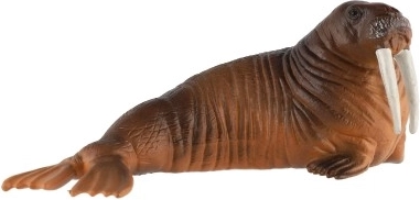 Universalus panaudojimas