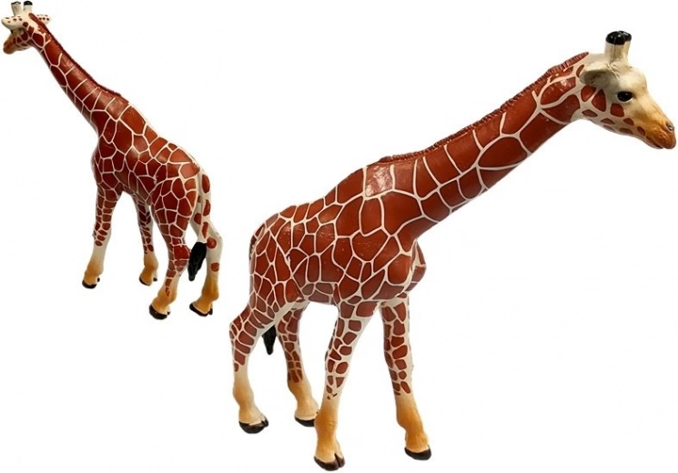 Detalus ir realistiškas vaizdas