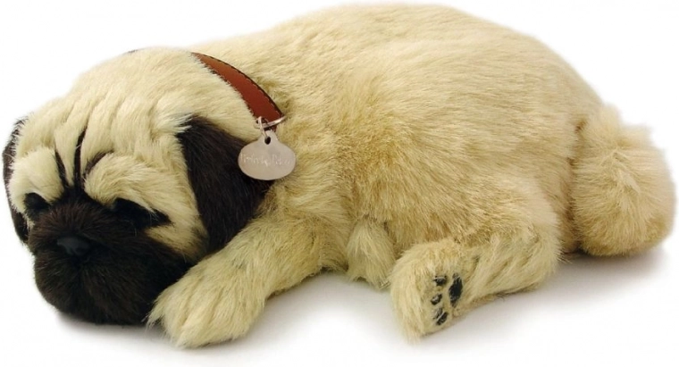 Ištikimai atkartotas mopso įvaizdis