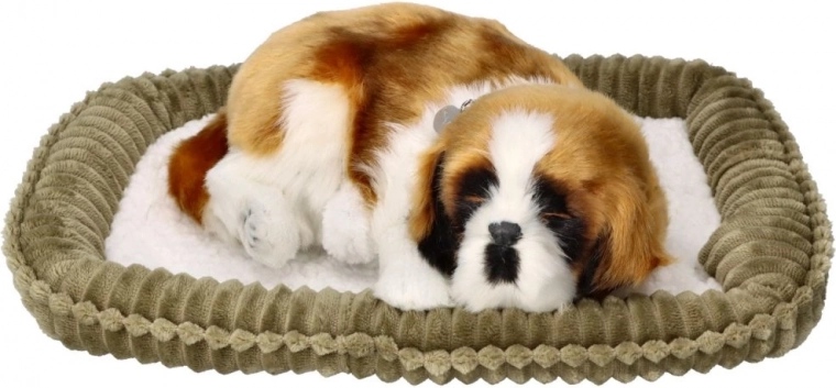 Patogi guolė eksponavimui ir žaidimams