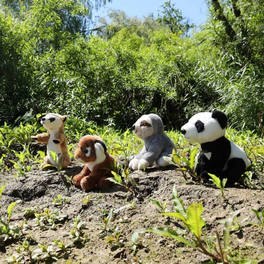 Mėgstamų gyvūnėlių kolekcija