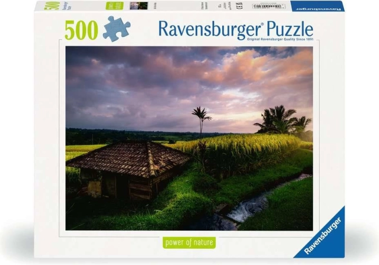 Preciziška Ravensburger kokybė