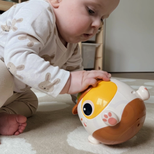 Motorikos ir koordinacijos lavinimas