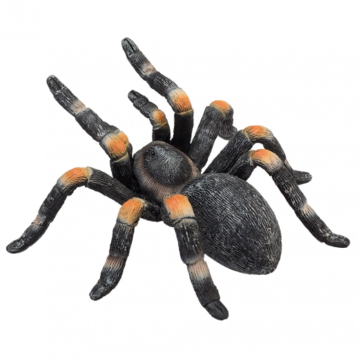 Tikroviškos detalės ir realistinė tekstūra