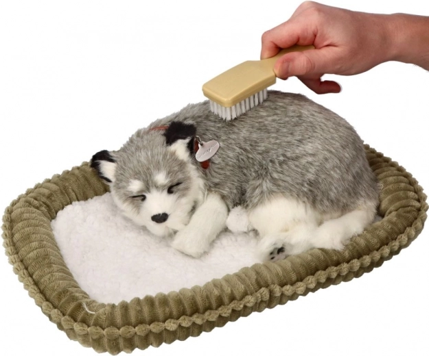 Malonus liesti ir lengva priežiūra