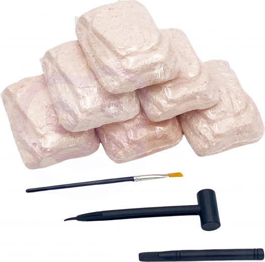 6 dinozaurų rinkinys