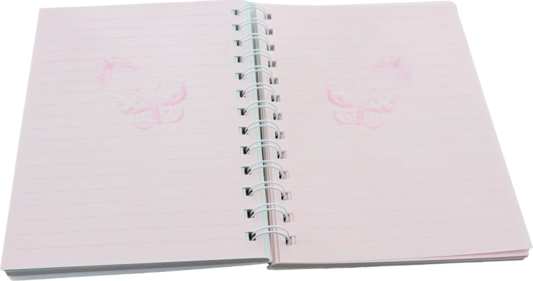 Funkcionalumas ir praktiškumas