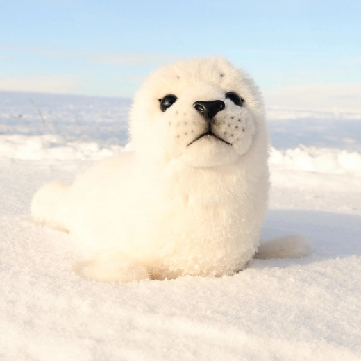 Paruoštas glėbesčiuotis namie ir kelionėje