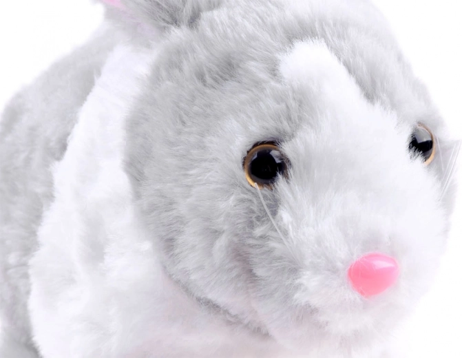 Minkštas ir jaukus pliušas