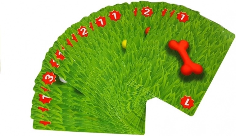 Žaidimo kortos įvairioms versijoms