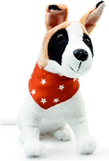 Empatijos ir rūpesčio ugdymas