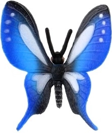 Nuostabūs mėlyni sparnai