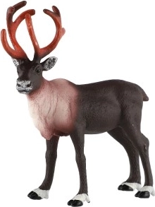 Realistiškas atlikimas ir detalės