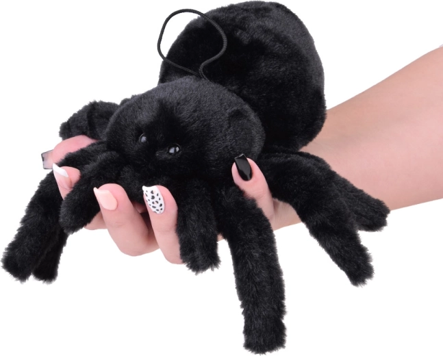 Idealu žaidimams ir dekorui