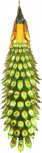 Eye-catching decor and a great gift