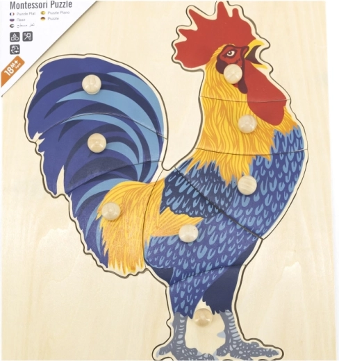 Patvari mediena ir saugios spalvos