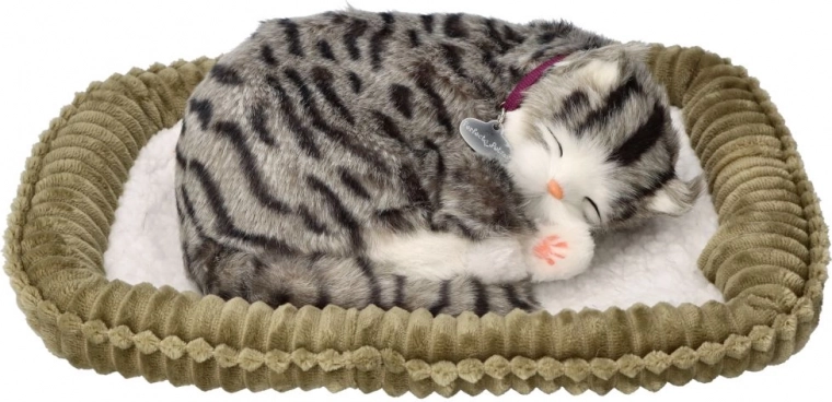 Realistiškas kvėpavimas ir išvaizda