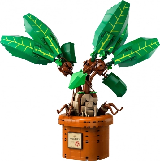 Sukurkite mandragorą