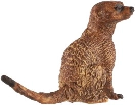 Patvari plastmasė ir lengva priežiūra