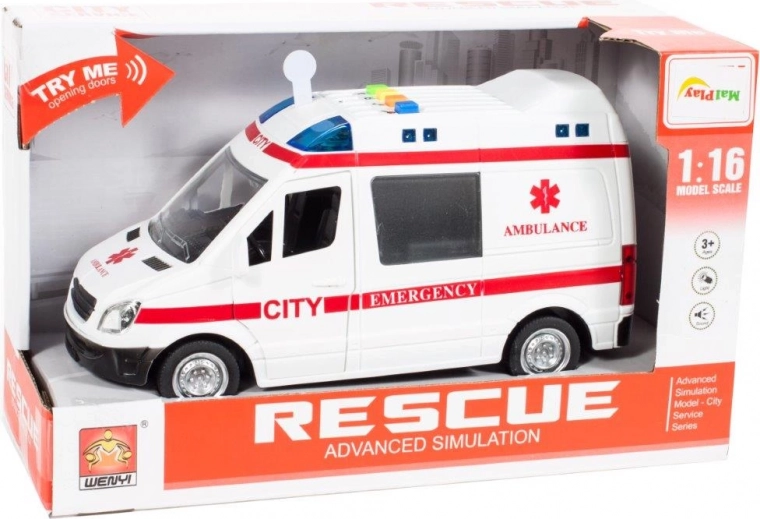 Mastelis 1:16 ir detalus atlikimas