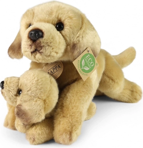 Saugus nuo gimimo (0+)