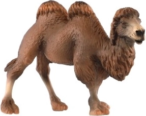 Realistiškos dvikuprio kupranugario detalės