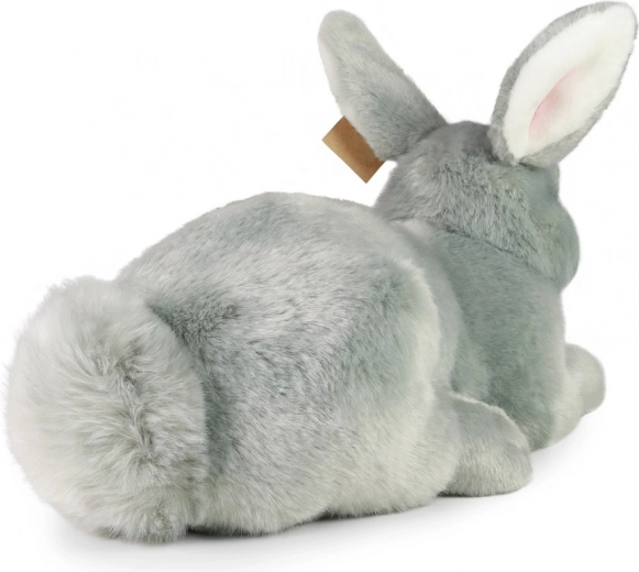 Švelnus ir realistiškas draugas