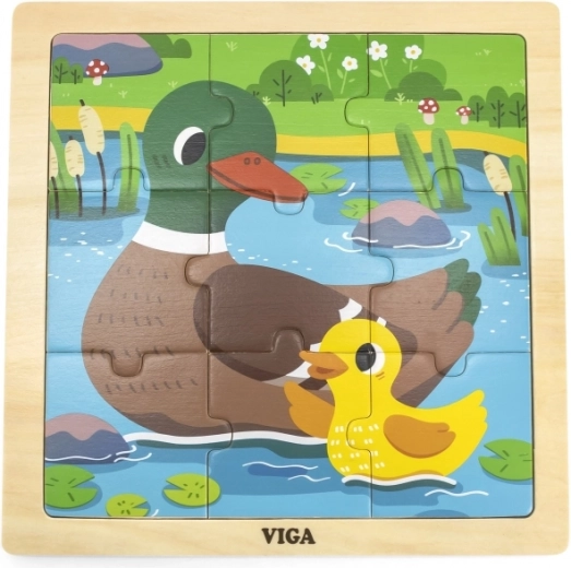 Mielas ančiukų motyvas tvenkinyje