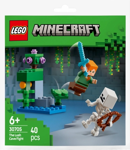 Puiki pradžia su LEGO MINECRAFT
