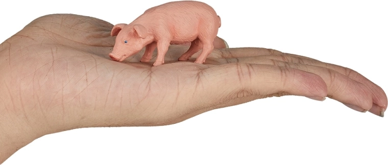 Kompaktiškas dydis