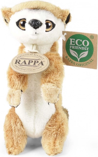 Mielos detalės ir švelnus pliušas