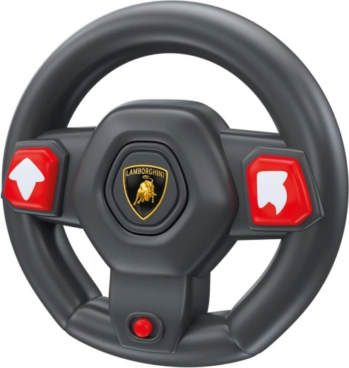 Interaktyvus nuotolinio valdymo pultas