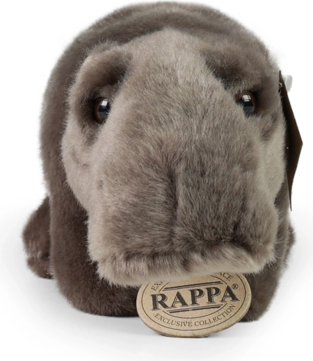 Luxurious RAPPA collection