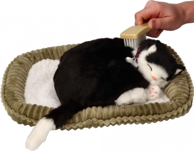 Realistiškas kvėpavimas raminančiam efektui