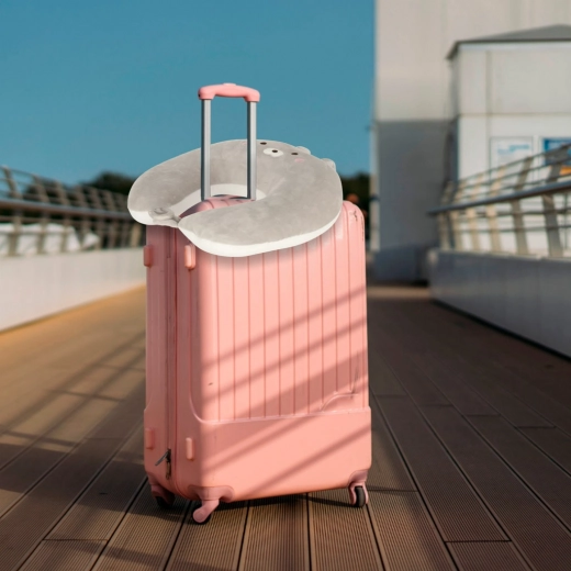 Kompaktiška ir praktiška