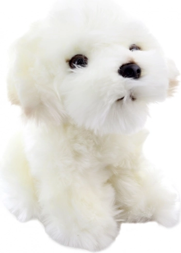 Realistiškos mielo šuniuko detalės