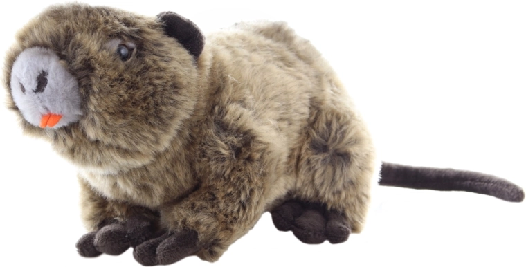 Eco-friendly medžiagos