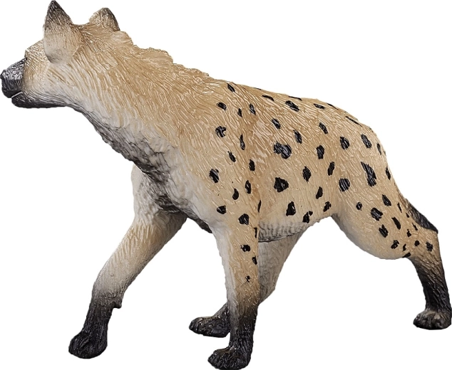 Universalus pritaikymas