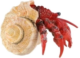 Realistiškas atlikimas iki paskutinės detalės