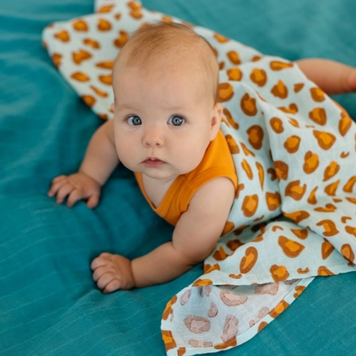 Daugiafunkcis panaudojimas