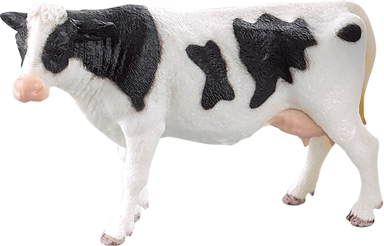 Tikroviškos karvės detalės