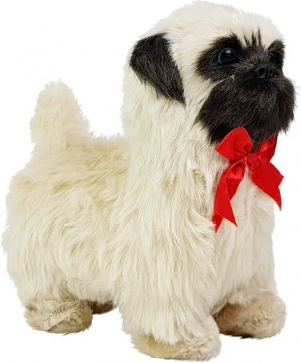 Reaguoja į prisilietimą: loja ir mojuoja uodega