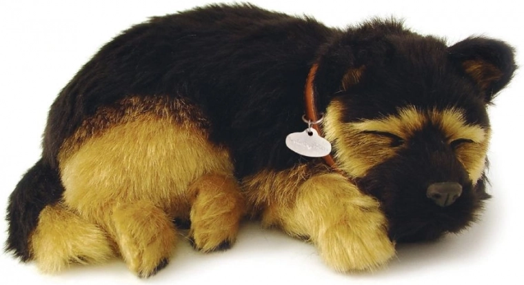 Minkštas kailiukas ir tikroviškas vokiečių aviganio atvaizdas