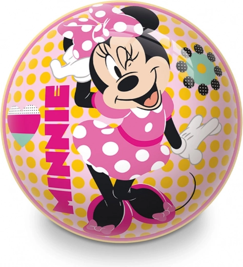 Spalvingas dizainas su Minnie