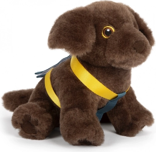 Pliušinis šuo su petnešomis