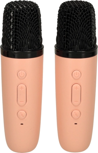 Two wireless microphones for duets