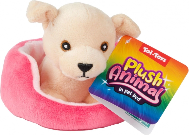 Guolis žaidimams ir laikymui