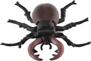 Kolekcinis eksponatas